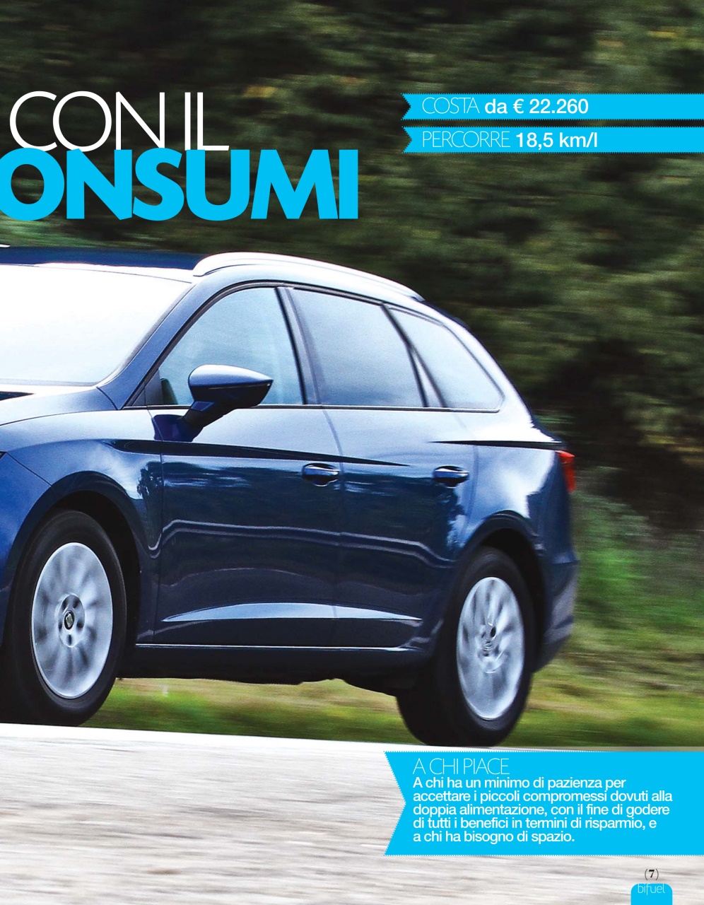 Elaborare Classic Preview Pages