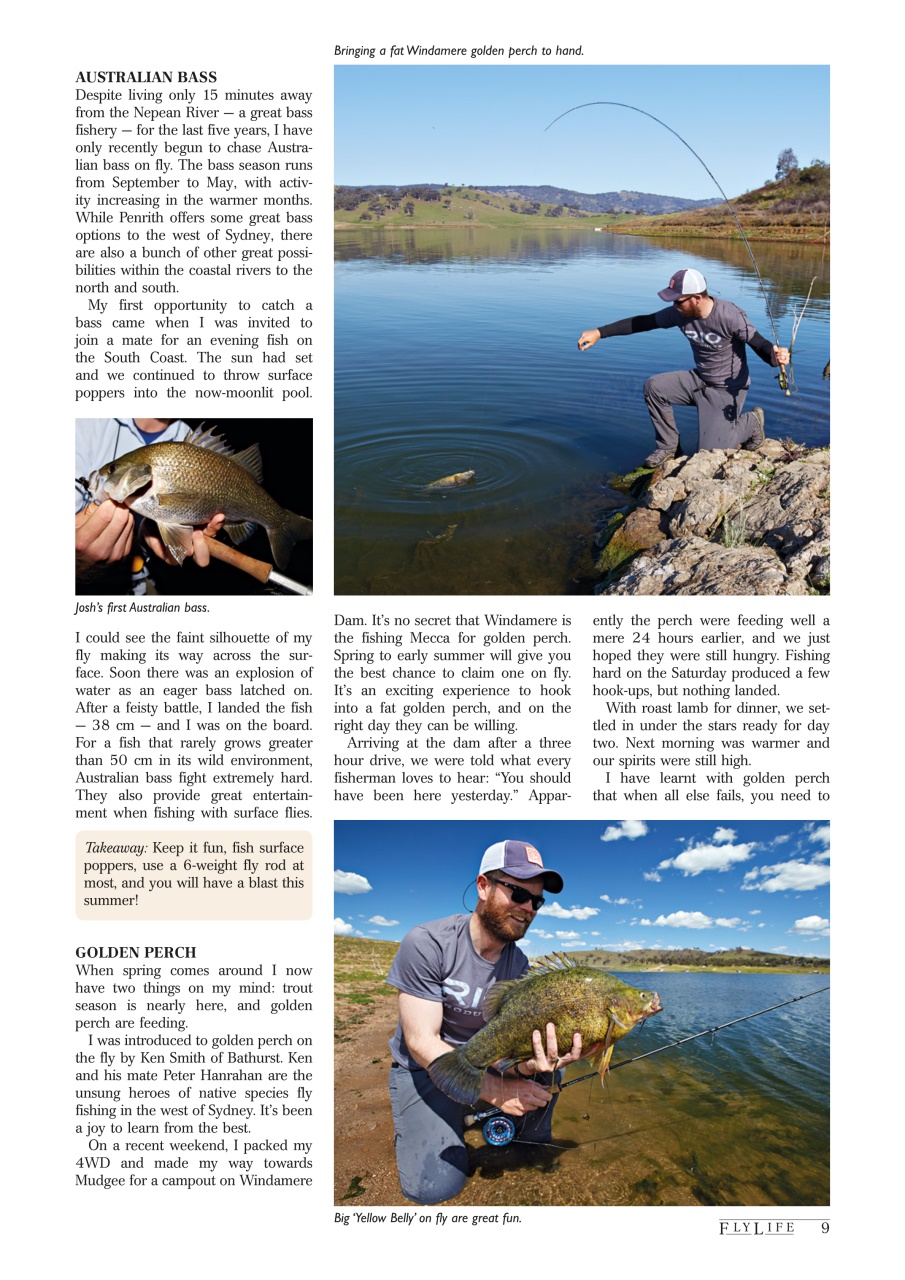 FlyLife Preview Pages
