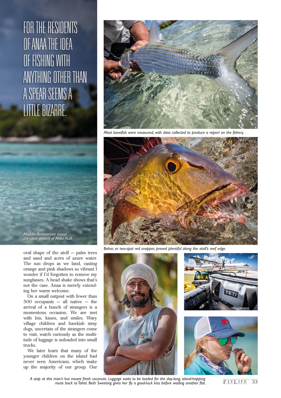 FlyLife Preview Pages