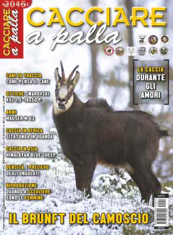 Caccia Magazine issue Cacciare a Palla Novembre 2015