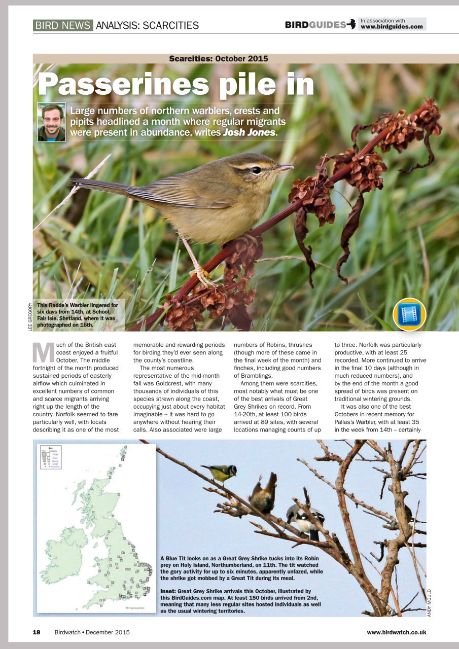 Birdwatch Magazine Preview Pages