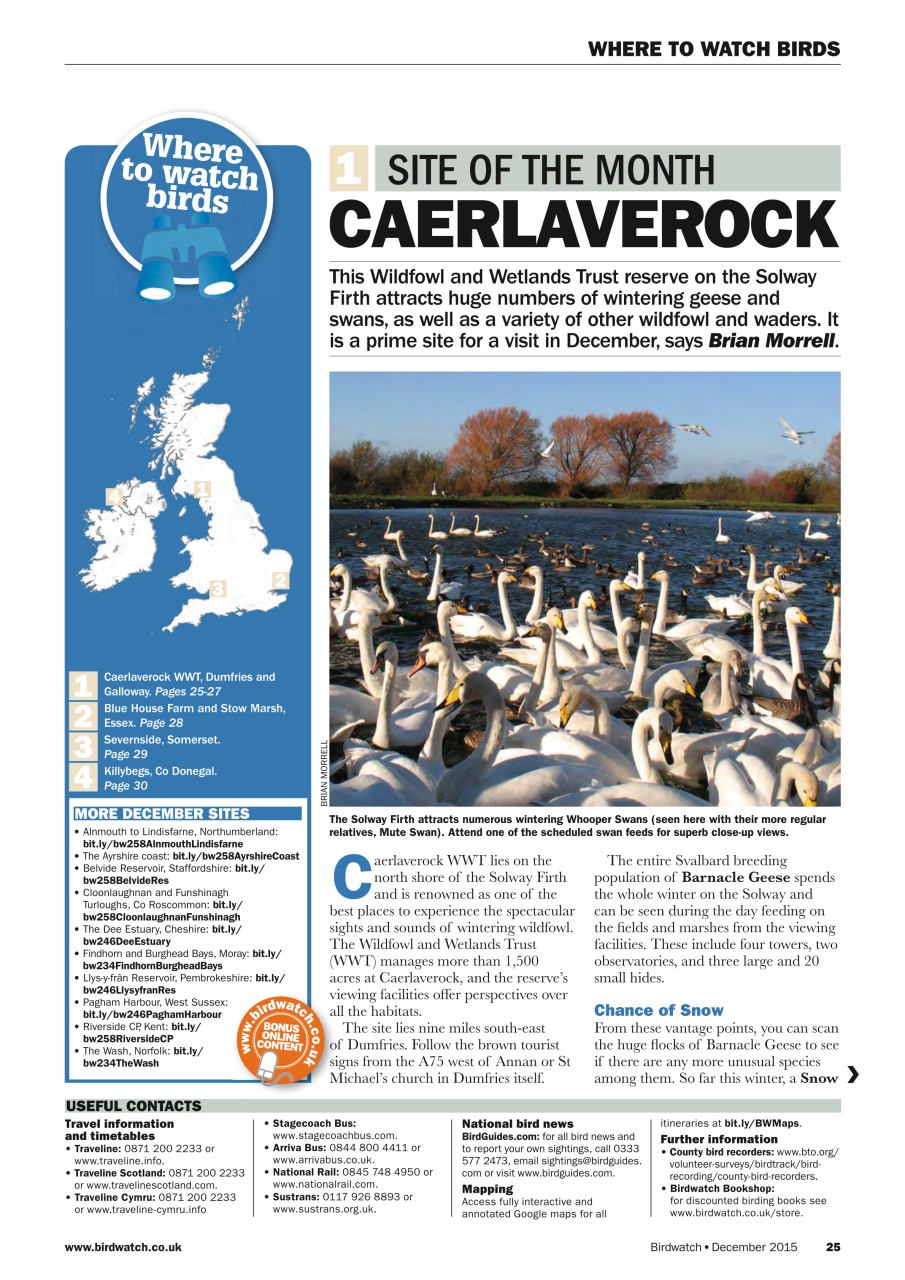 Birdwatch Magazine Preview Pages