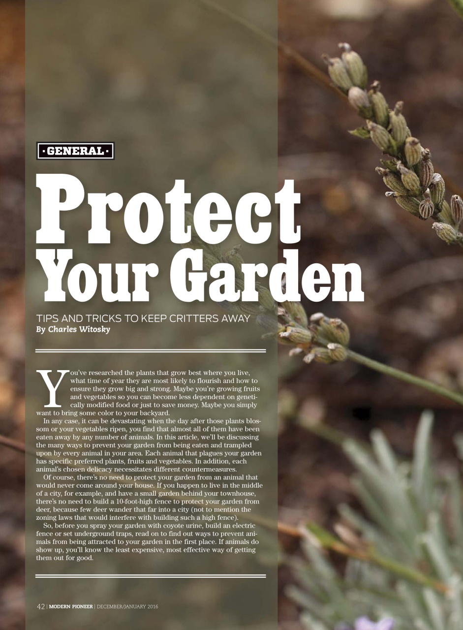 Modern Pioneer Preview Pages