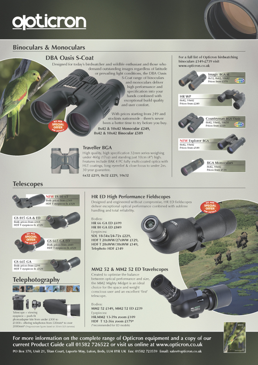 Birdwatch Magazine Preview Pages
