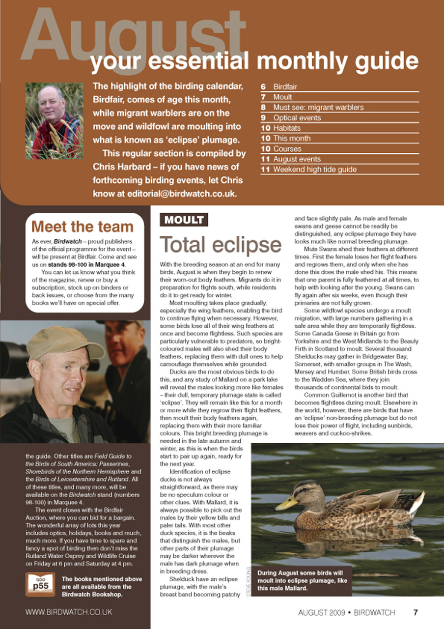 Birdwatch Magazine Preview Pages