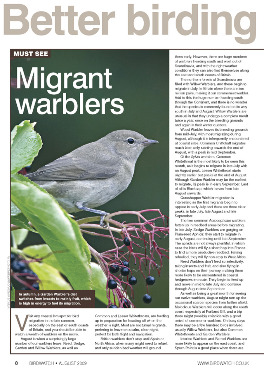 Birdwatch Magazine Preview Pages