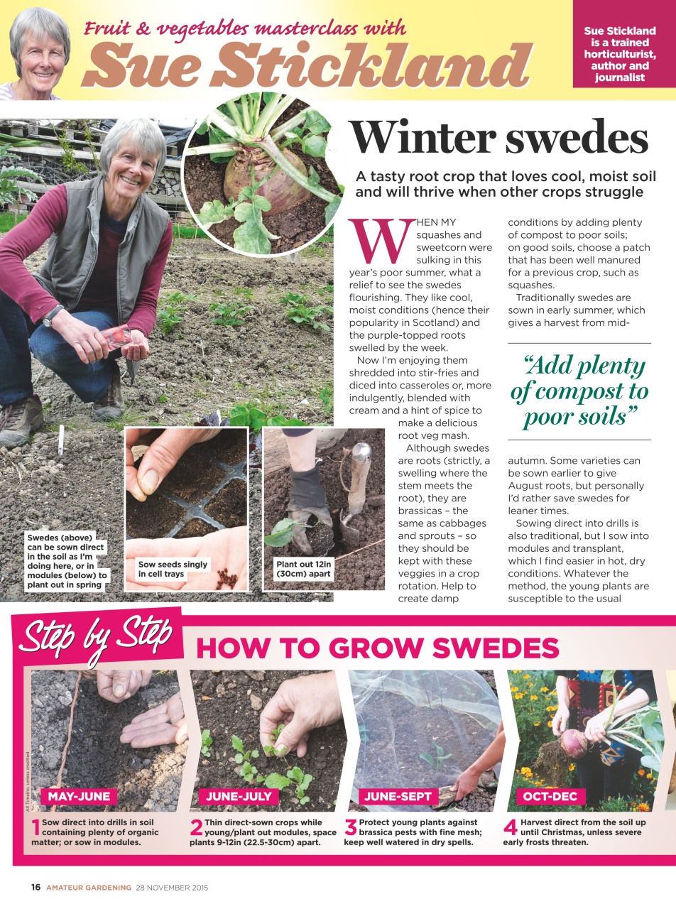 Amateur Gardening Preview Pages