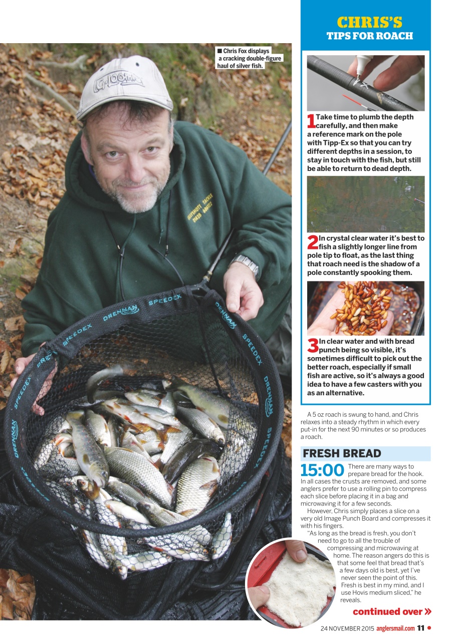 Anglers Mail Preview Pages