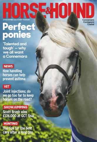 Horse & Hound issue 19th November 2015