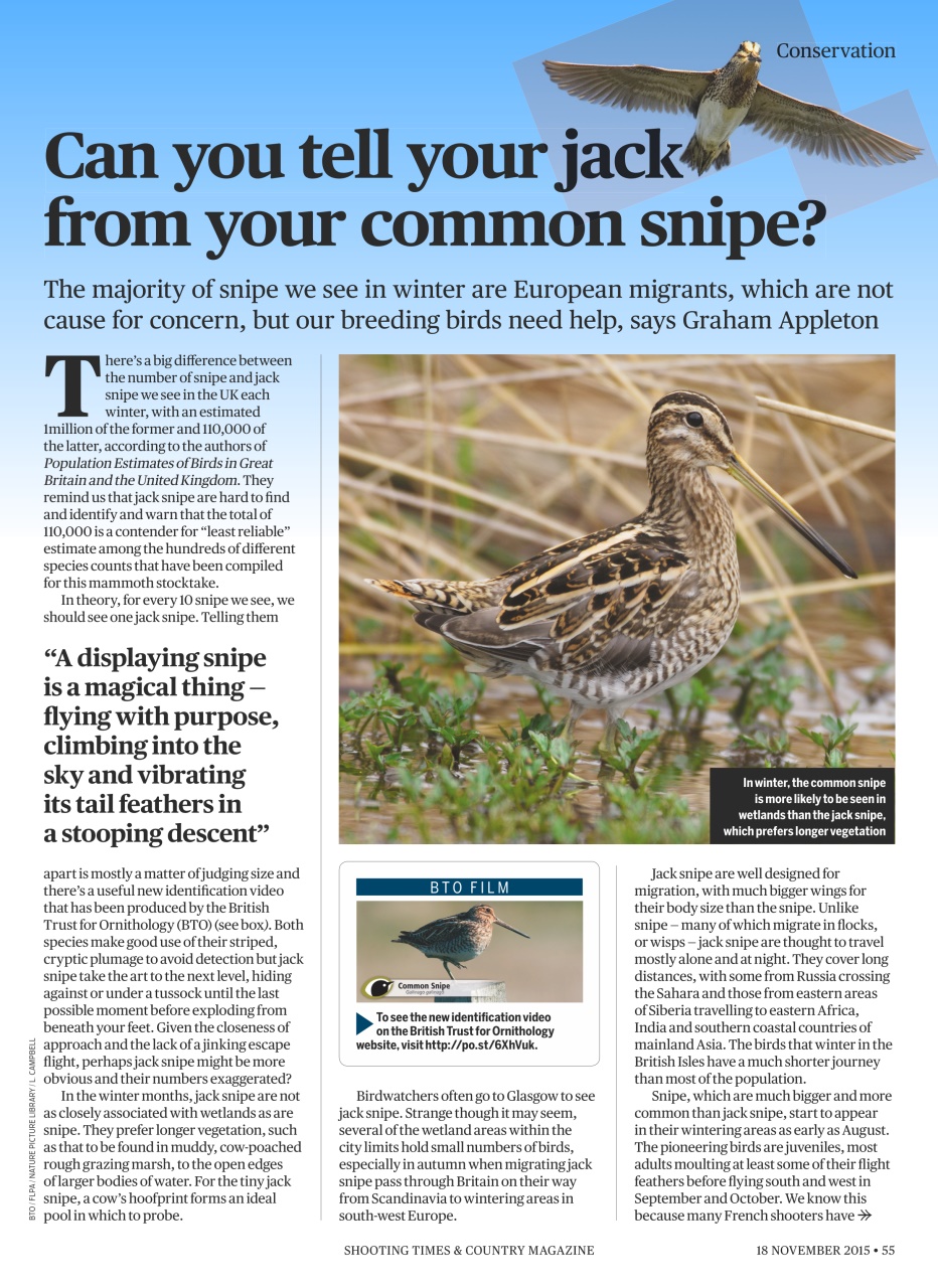 Shooting Times & Country Preview Pages