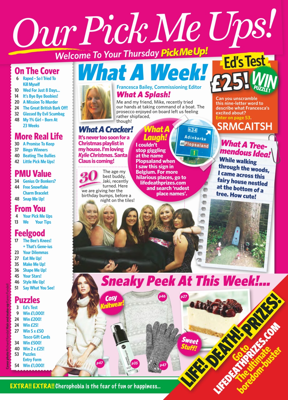 Pick Me Up Preview Pages