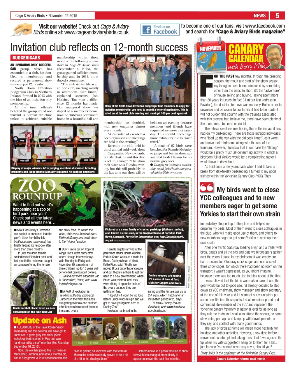 Cage & Aviary Birds Preview Pages