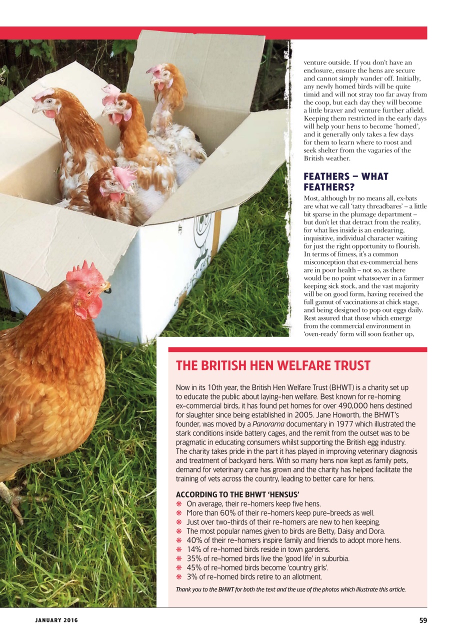 Home Farmer Magazine Preview Pages