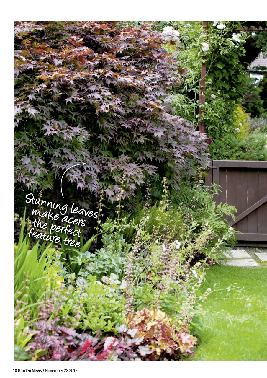 Garden News Preview Pages