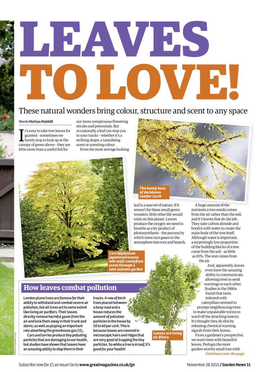 Garden News Preview Pages