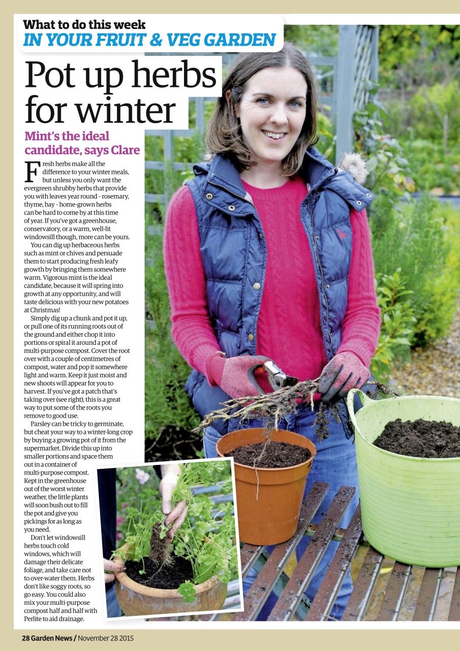 Garden News Preview Pages