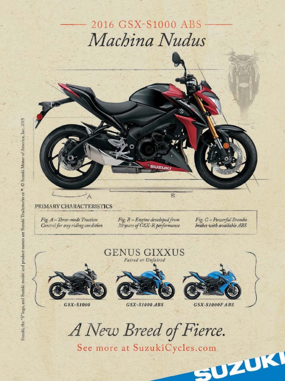 Rider Magazine Preview Pages