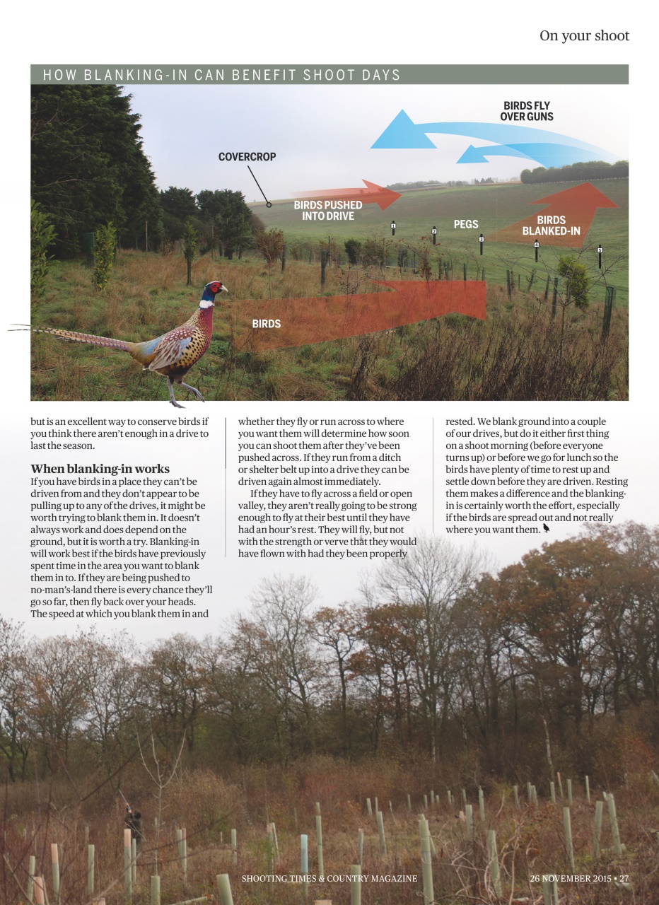 Shooting Times & Country Preview Pages