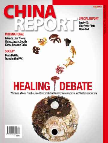 China Report issue Issue 31
