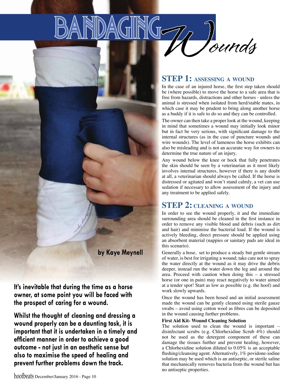 Hoofbeats Preview Pages