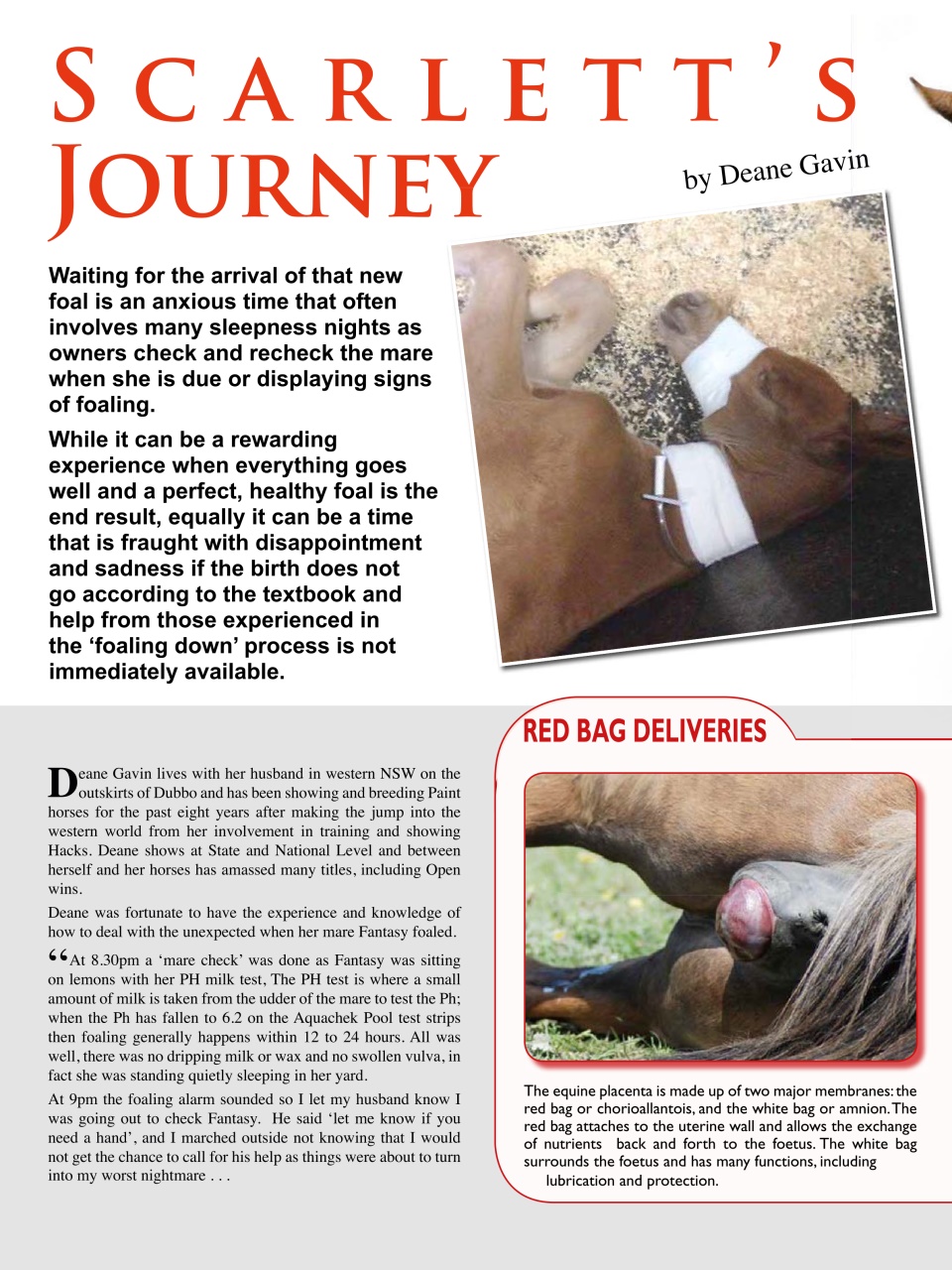 Hoofbeats Preview Pages