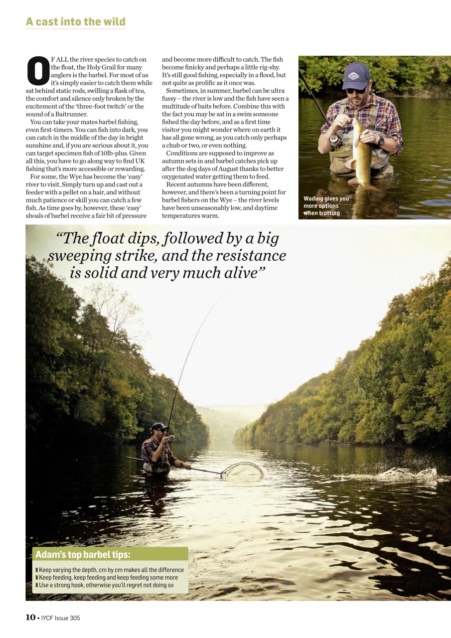 Improve Your Coarse Fishing Preview Pages
