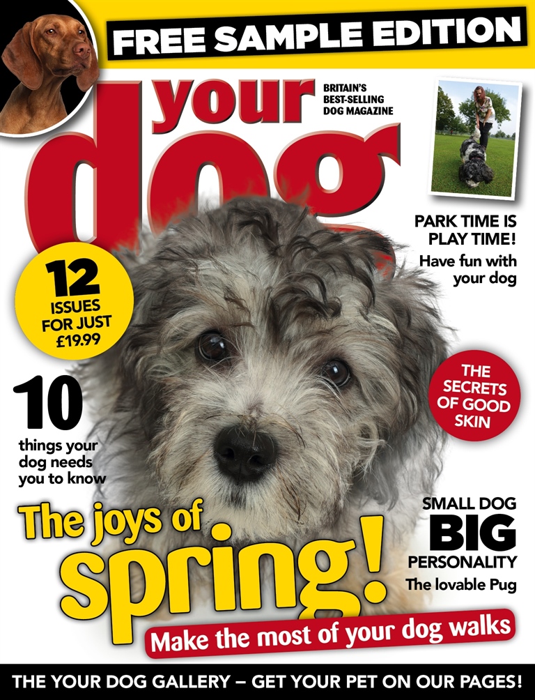 Your Dog issue 