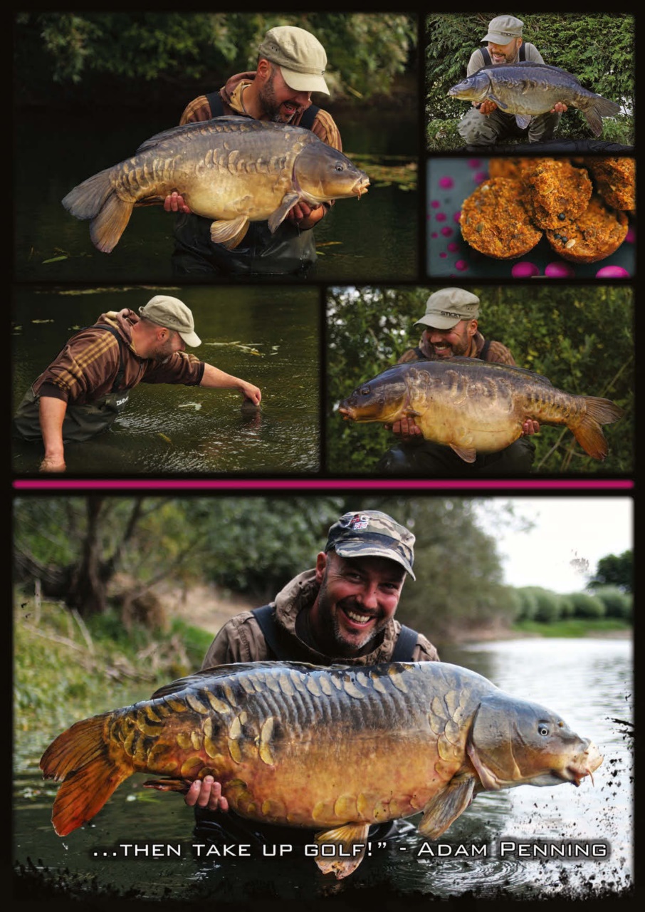 Carpworld Preview Pages