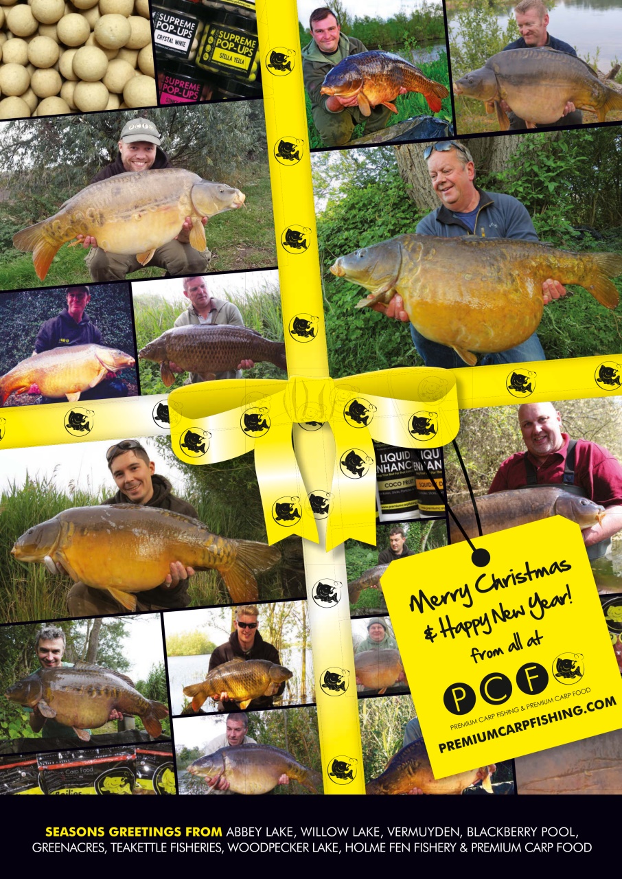 Carpworld Preview Pages