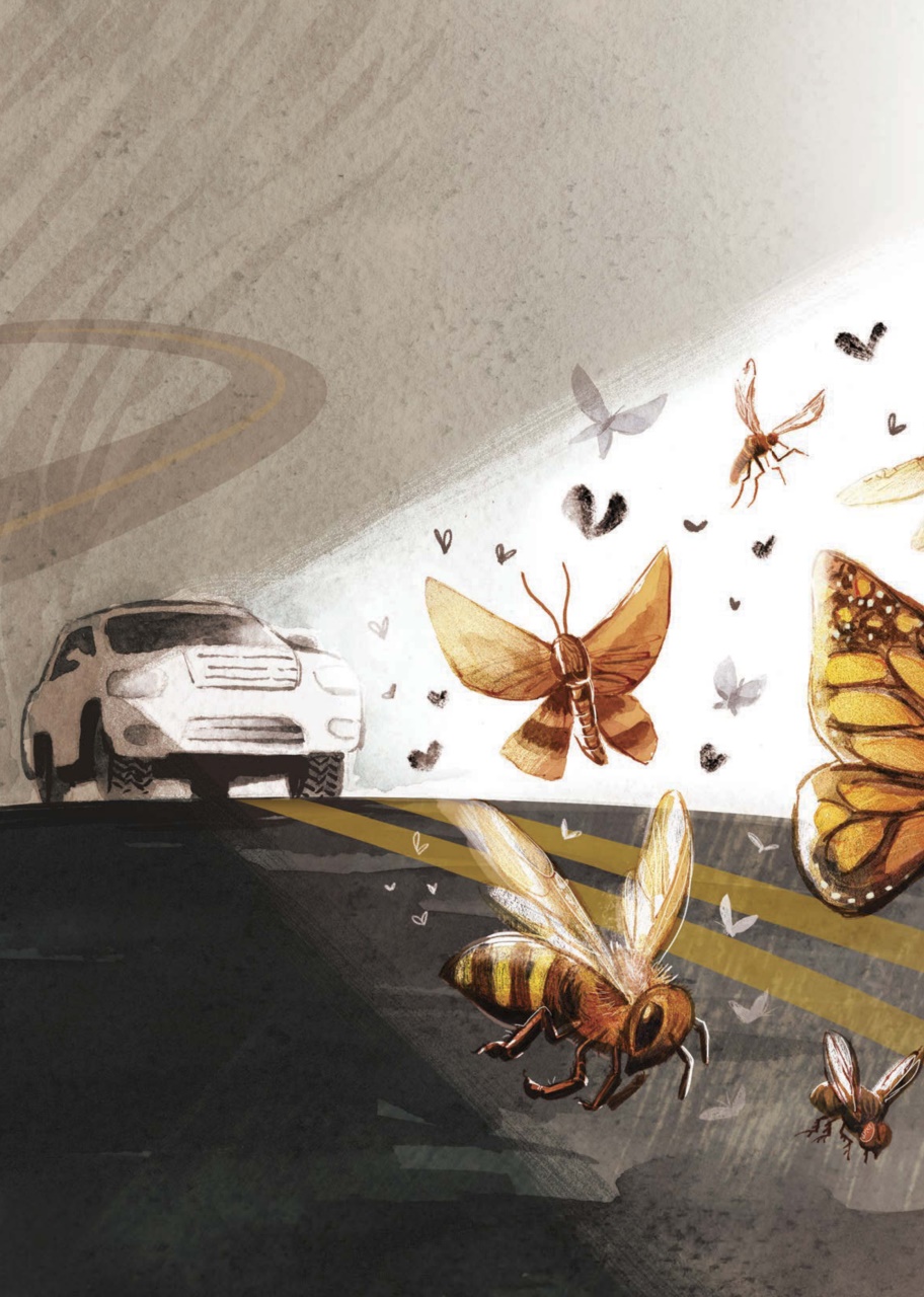 Canadian Geographic Preview Pages