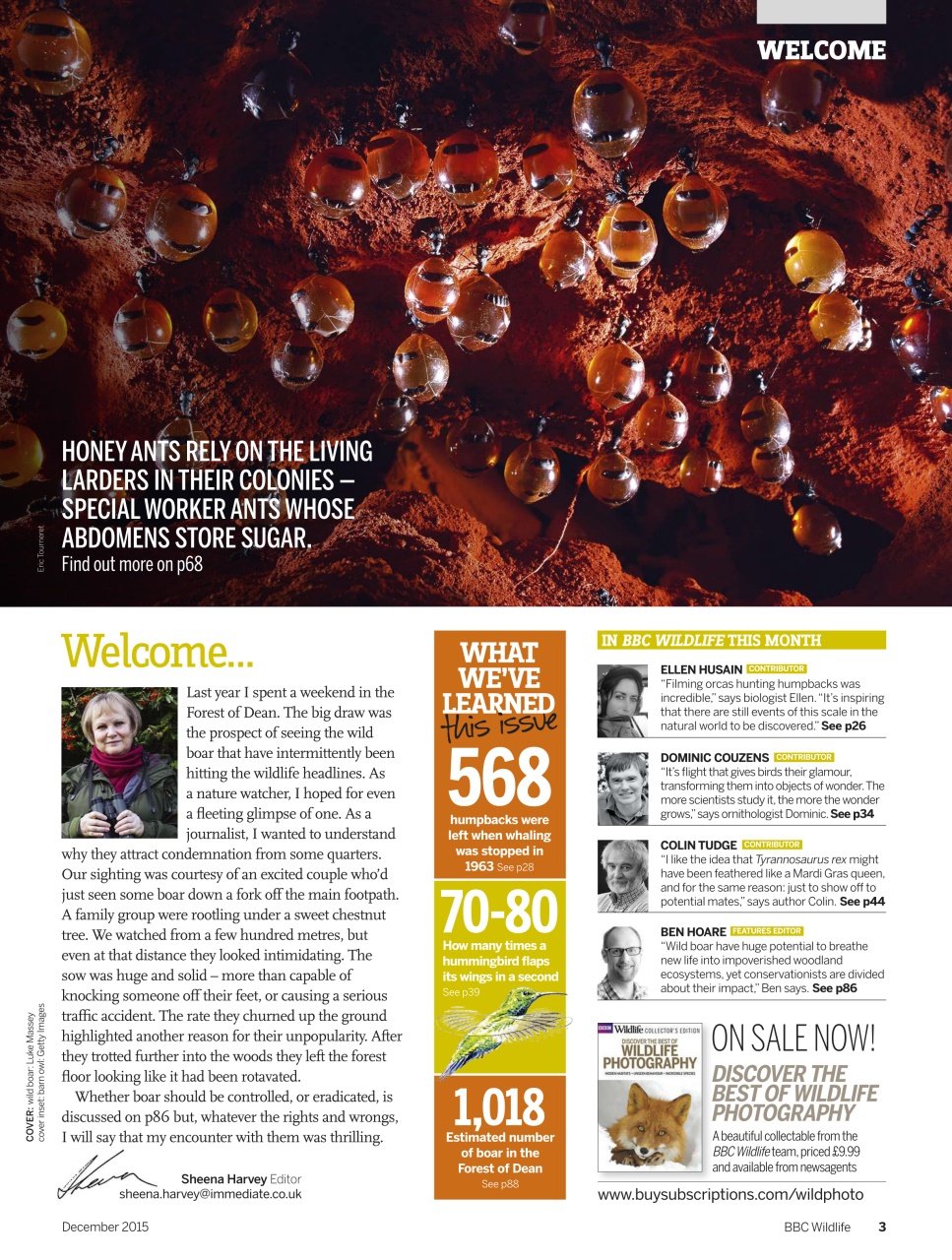 BBC Wildlife Magazine Preview Pages