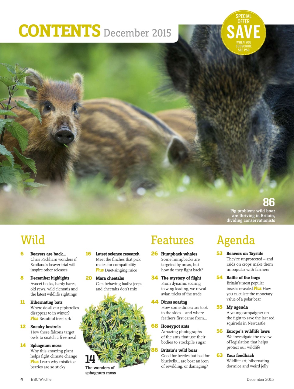 BBC Wildlife Magazine Preview Pages