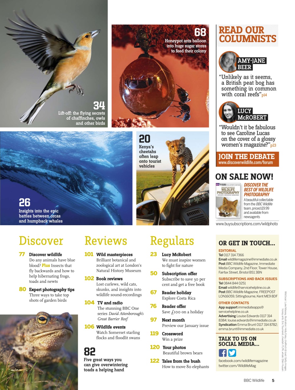 BBC Wildlife Magazine Preview Pages