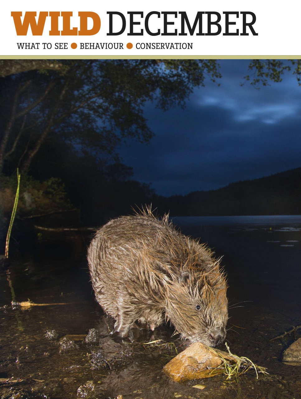 BBC Wildlife Magazine Preview Pages