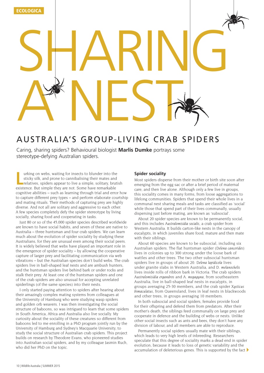 Wildlife Australia Preview Pages