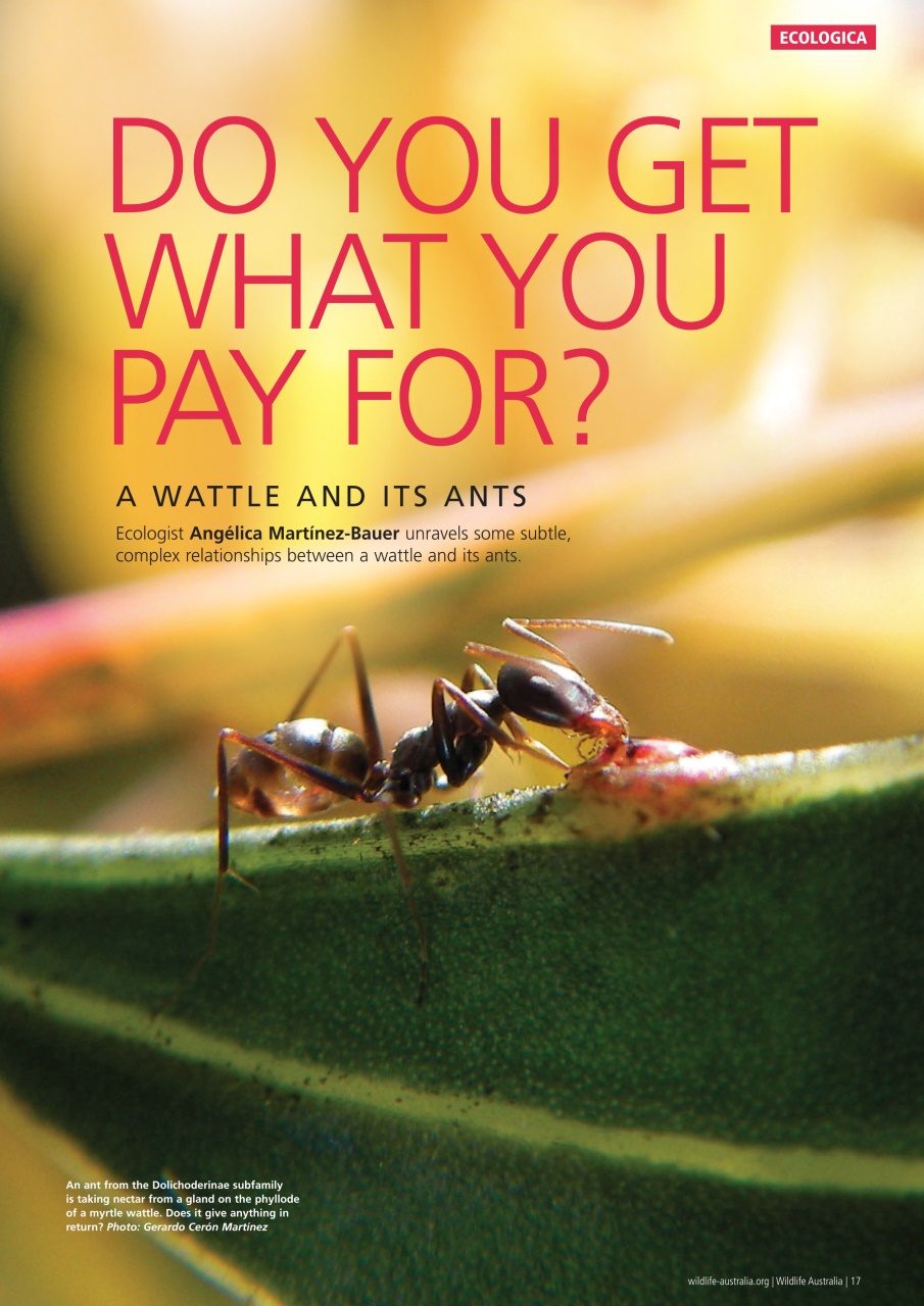 Wildlife Australia Preview Pages