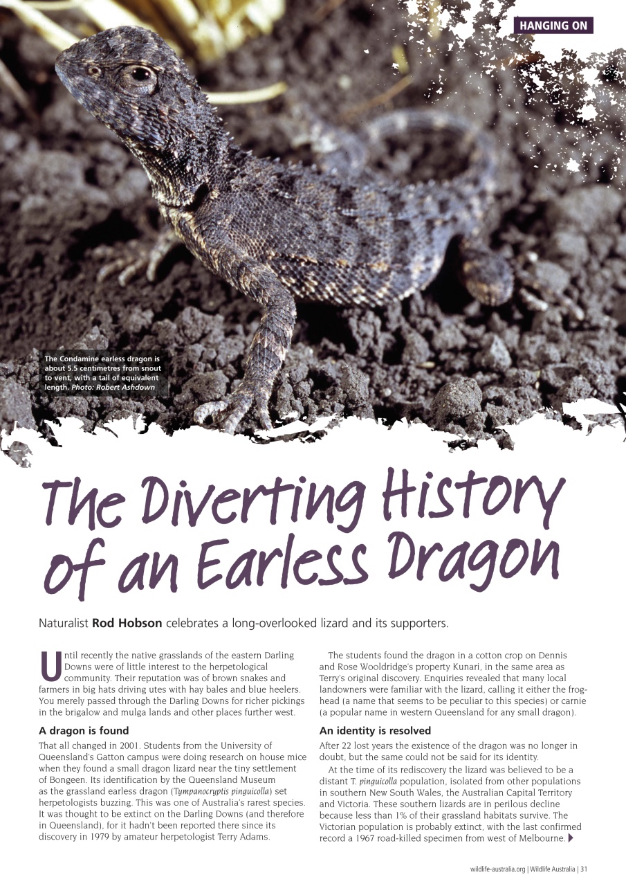 Wildlife Australia Preview Pages