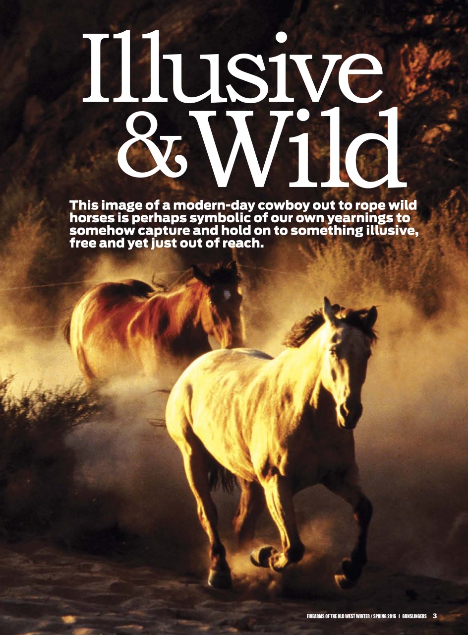 Gun World Preview Pages