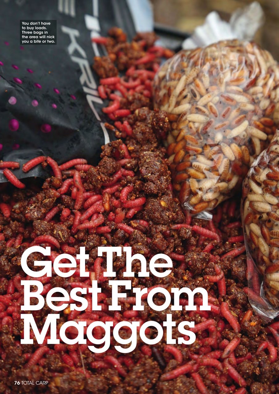 Total Carp Preview Pages