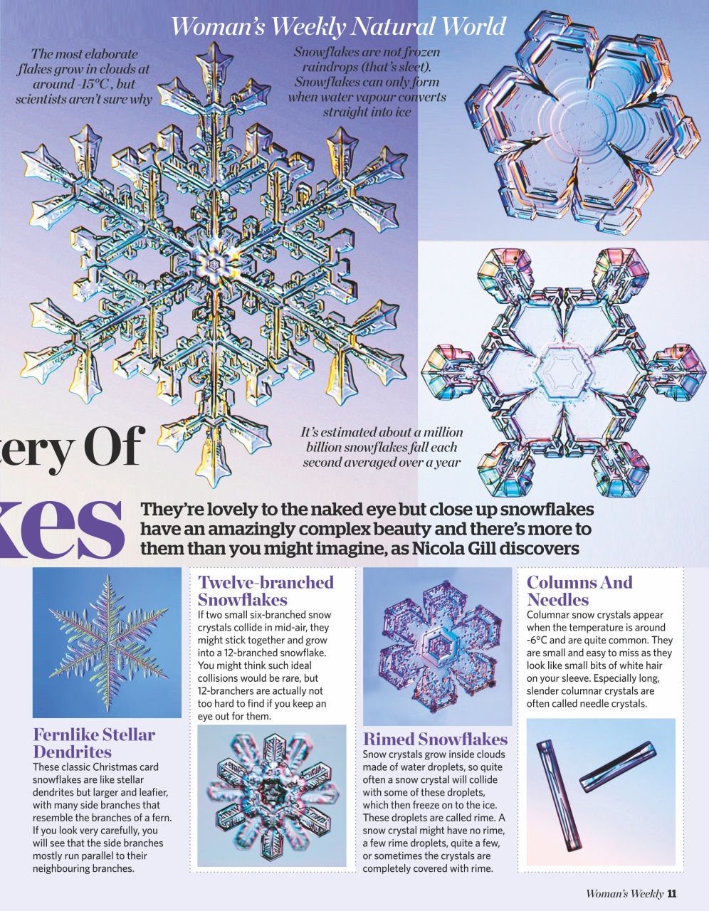 Woman's Weekly Preview Pages