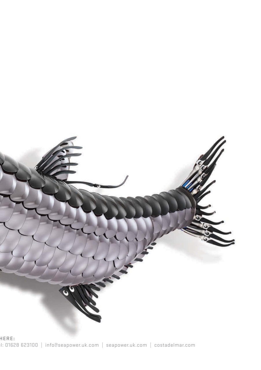 Fieldsports Journal Preview Pages