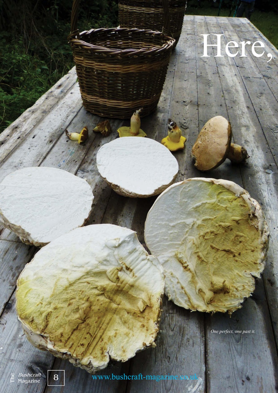 Bushcraft Magazine Preview Pages