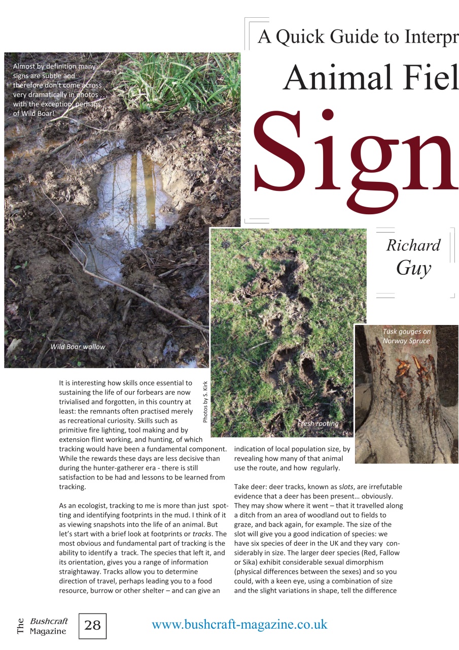 Bushcraft Magazine Preview Pages
