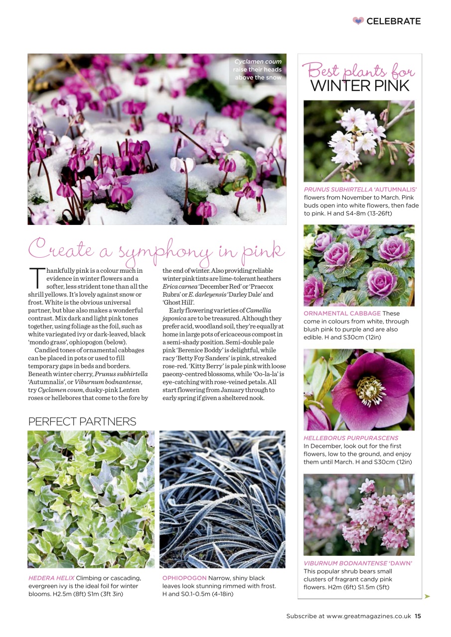 Garden Answers Preview Pages