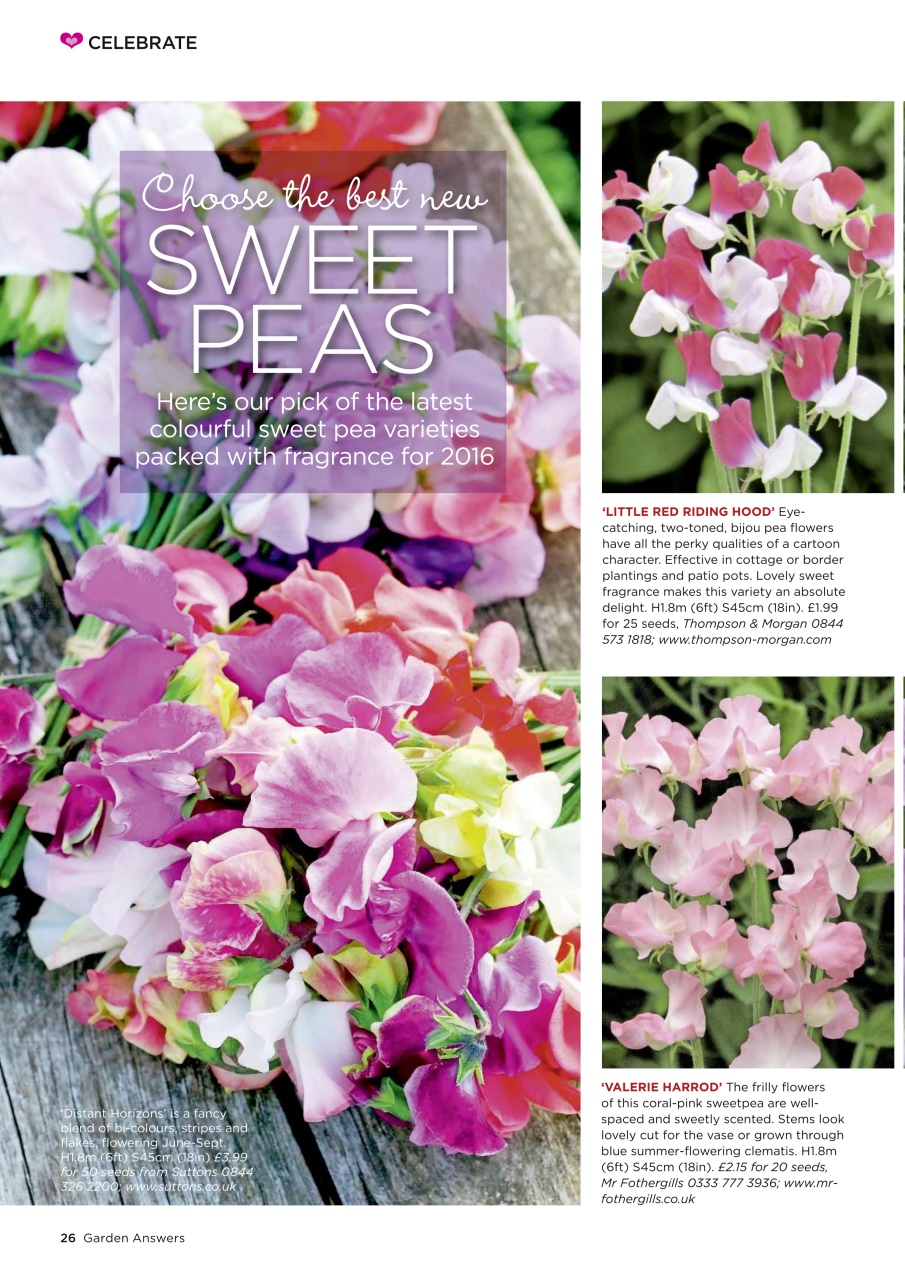 Garden Answers Preview Pages