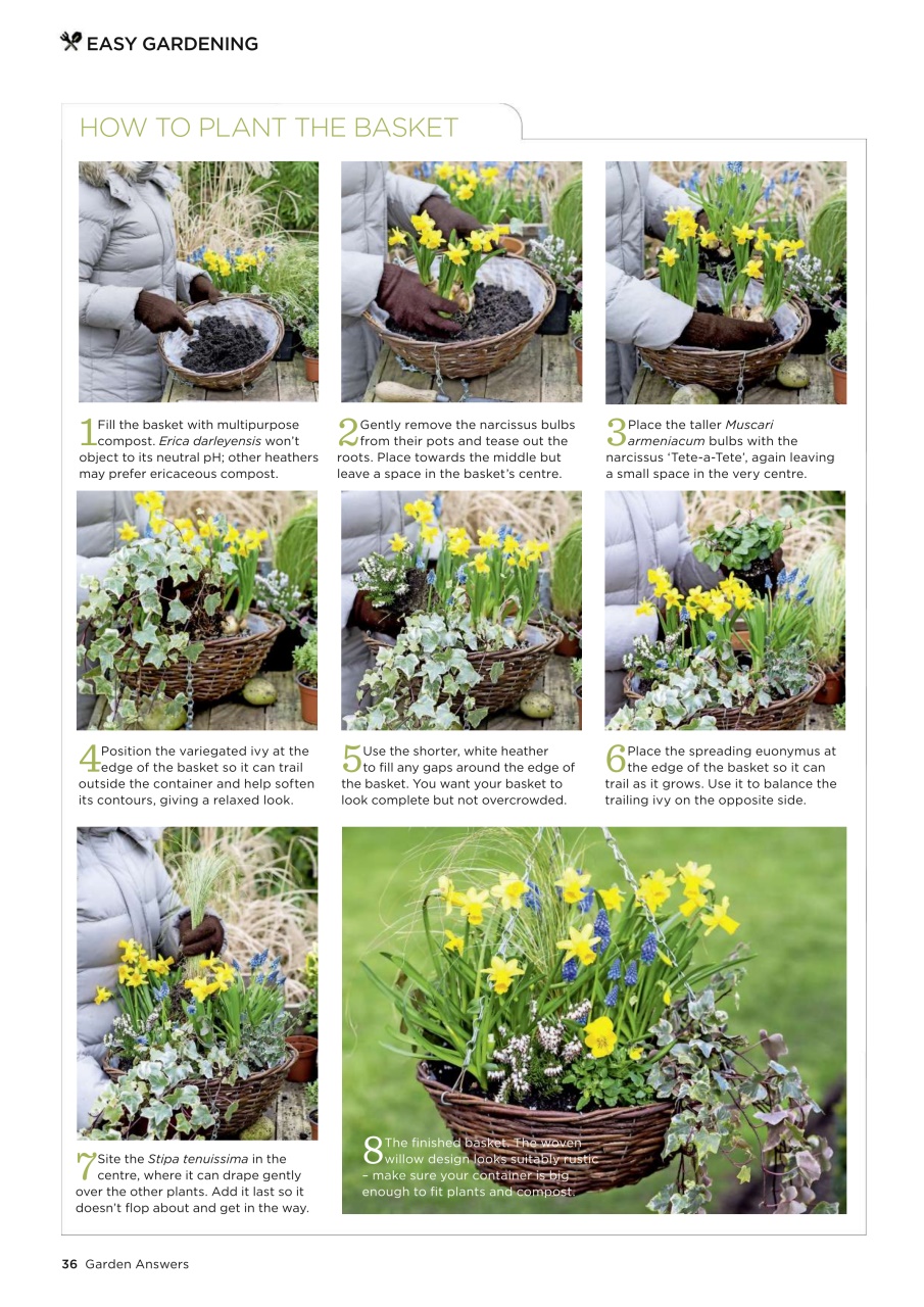 Garden Answers Preview Pages