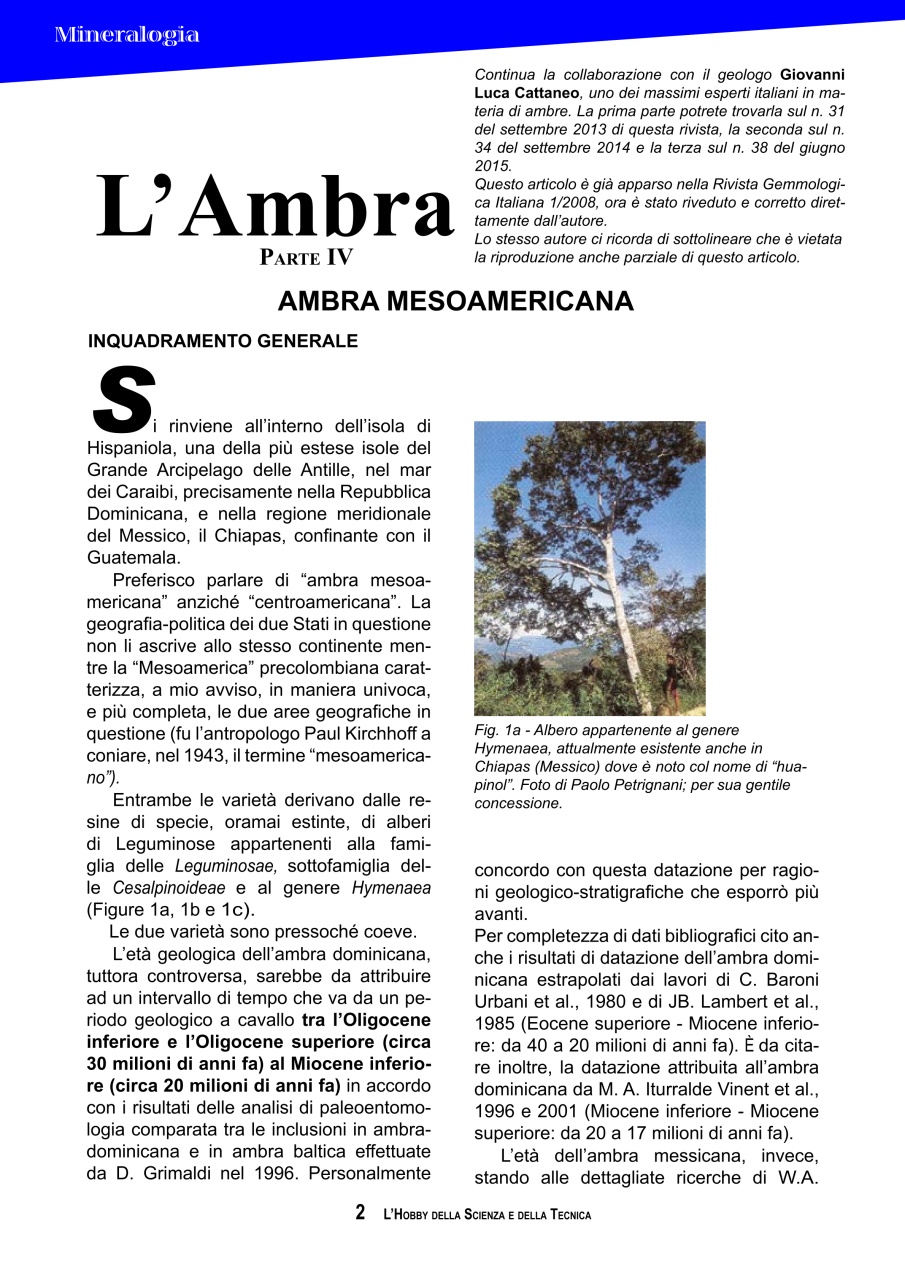 L'HOBBY DELLA SCIENZA E DELLA TECNICA Preview Pages