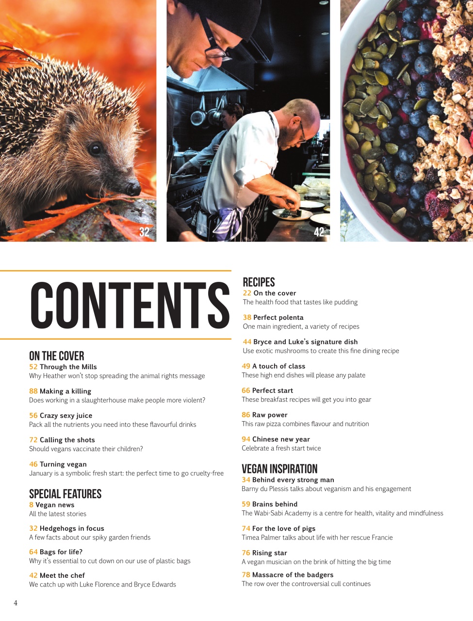 Vegan Life Preview Pages
