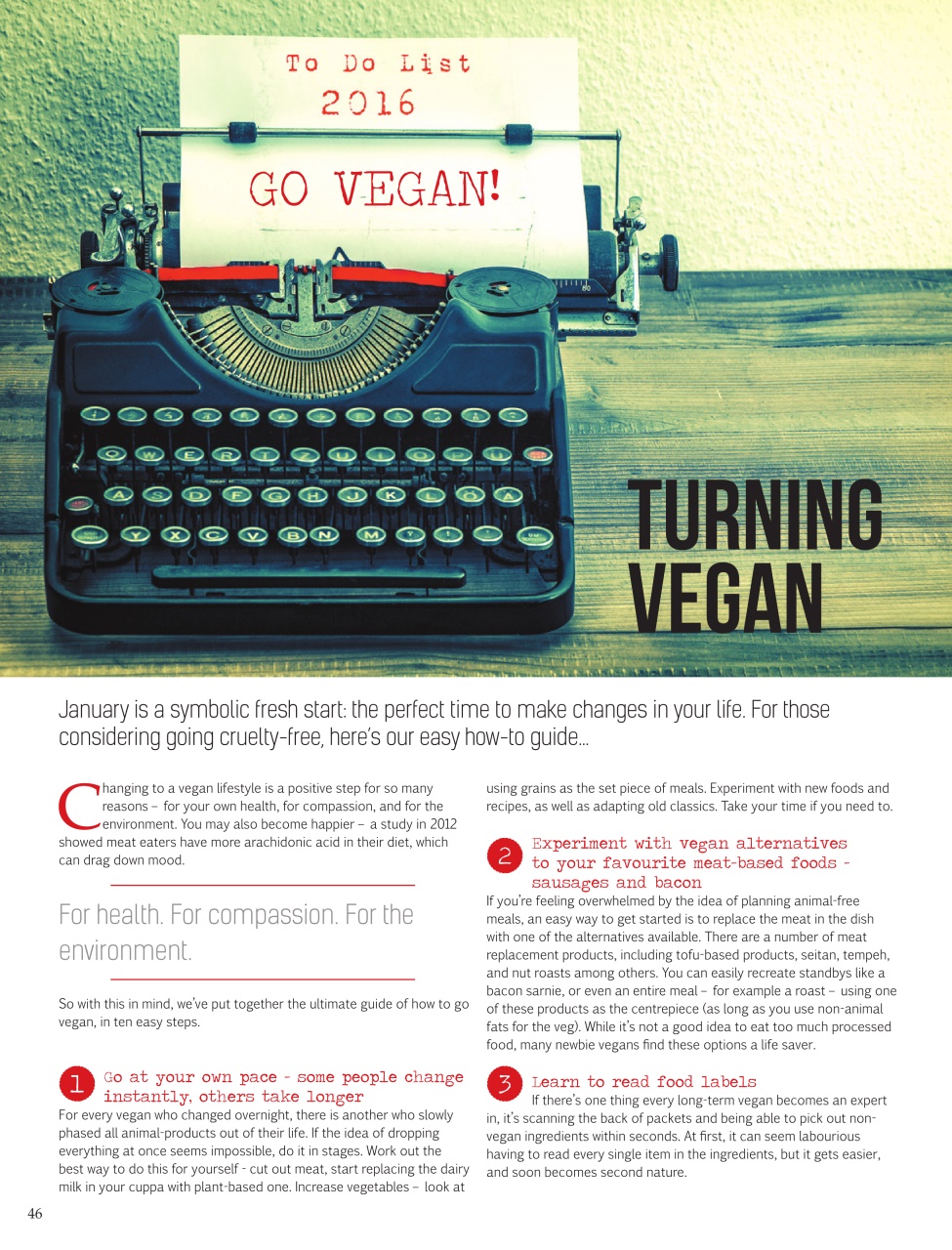 Vegan Life Preview Pages