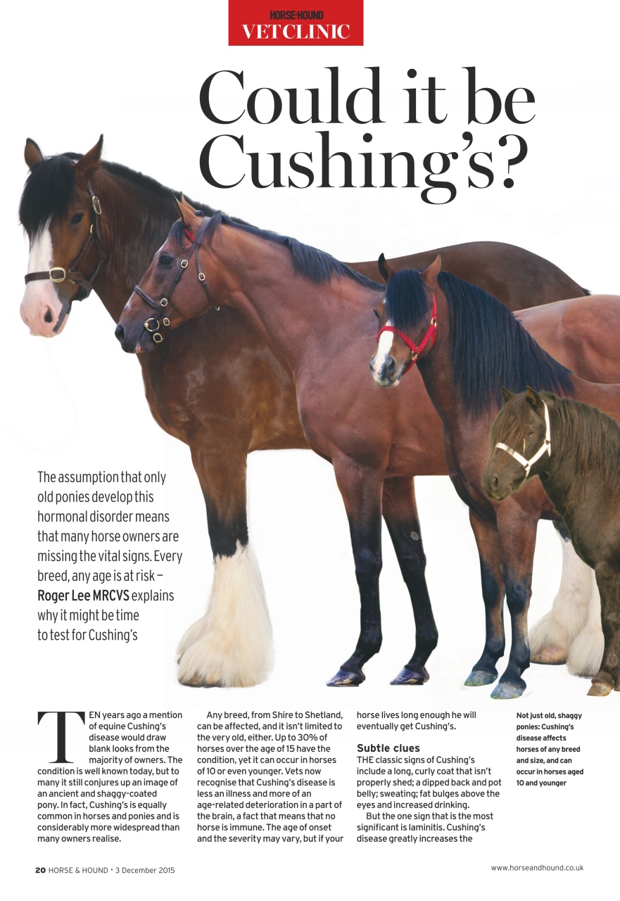 Horse & Hound Preview Pages